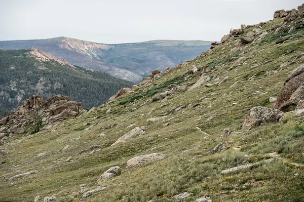 Stormy Peaks Trail Ribbons Mentén Tundra Hillside Rocky Mountain Nemzeti — Stock Fotó
