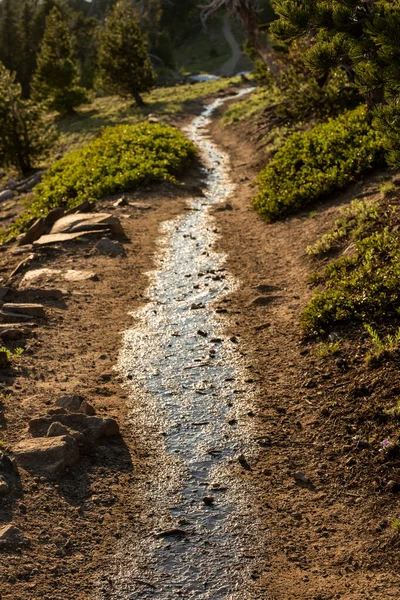 クレーターレイク国立公園のガーフィールドピークへのトレイルダウンウォーターフローの流れ — ストック写真
