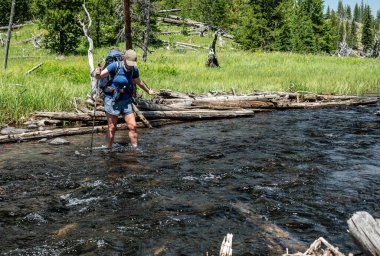 Yellowstone 'daki Grizzly Gölü' nden Akan Kadın Dereyi Geçiyor