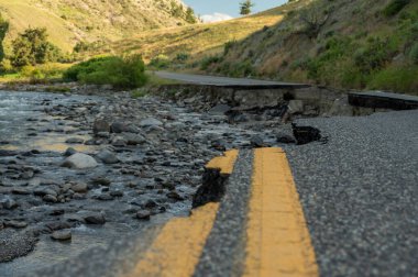 Yellowstone Milli Parkı 'nda, ıssız bir yolun kenarında.