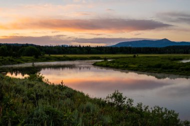 Grand Teton Ulusal Parkı 'nda Oxbow Virajının Yeşil Arazileri ve Sakin Suları