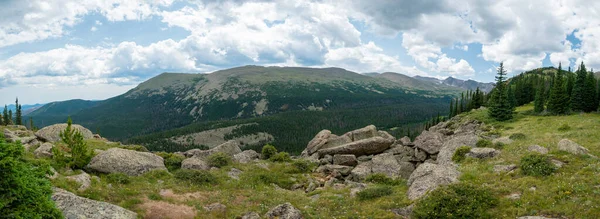 Kijkend Verloren Weidevallei Naar Mount Dickinson Rocky Mountain National Park — Stockfoto