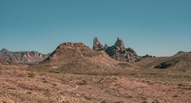 Katırlar Big Bend Ulusal Parkı 'nda Mavi Gökyüzüne Yükseliyor