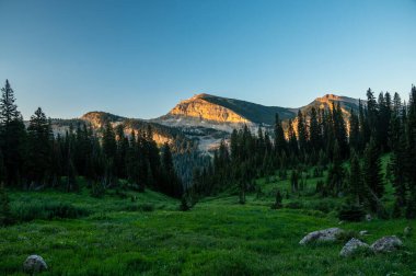 Buluşma Dağı Grand Teton 'daki Yeşil Çayırın Üzerinde Yükseliyor