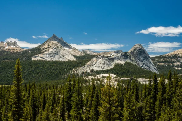 Pine Trees Foreground Cathedral Echo Peaks Yosemite Stock Picture