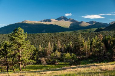 Rocky Dağı Ulusal Parkı 'nda Büyük Orman Altında Uzunluk Zirvesi