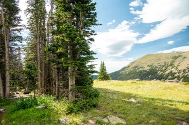 Rocky Dağı Ulusal Parkı 'ndaki Fırtınalı Tepeler Yolu' nun Açık Çayırında Kamp
