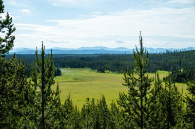 Yellowstone 'daki Kuğu Gölü Yakınlarındaki Geniş Açık Çayır