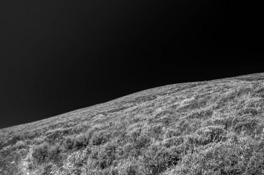 Batı Yellowstone Ulusal Parkı 'nda Dark Sky Over Hillside
