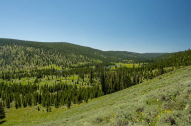 Yuvarlanan Tepeler Yellowstone 'daki Grizzly Gölü' nden çıkarken Düz Dereye Düşüyor