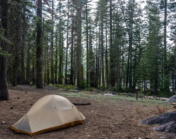 Туристы Палатка Backcountry Site Лорел Лейк Йосемити Национальный Парк — стоковое фото