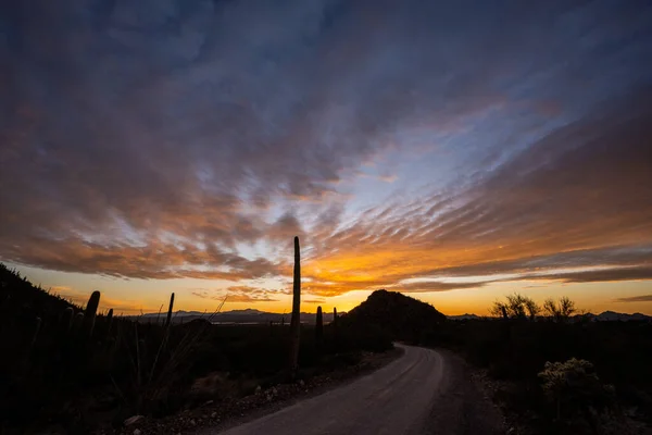 Hohokam Road Cloudy Sunset Saguaro National Park — Stock Photo, Image