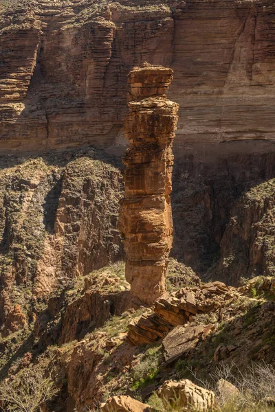 Ein Und Dreißig Fuß Turm Monument Creek Grand Canyon Nationalpark — Stockfoto