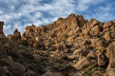 Pürüzsüz Kayalar Kalabalık Büyük Viraj Ulusal Parkı 'ndaki Asma Tepeler' de