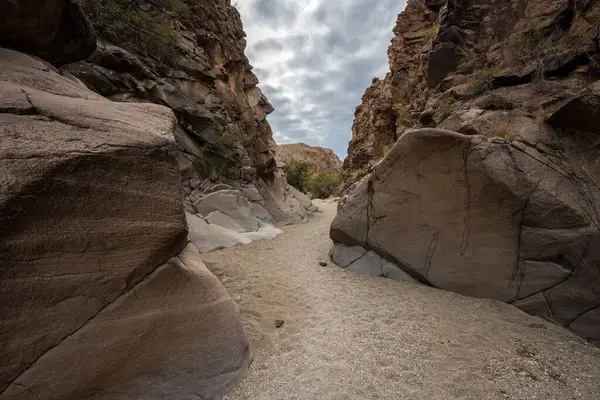 Wash Bends Through Canyon Toward Upper Burro Mesa Pouroff in Big Bend