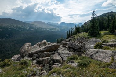 Boulderfield, Rocky Dağları Ulusal Parkı 'nın aşağısındaki vadiye dökülüyor.