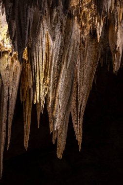 Carlsbad Mağaralarındaki Avize 'nin Altın ve Gümüş Tonları Ulusal Parkı