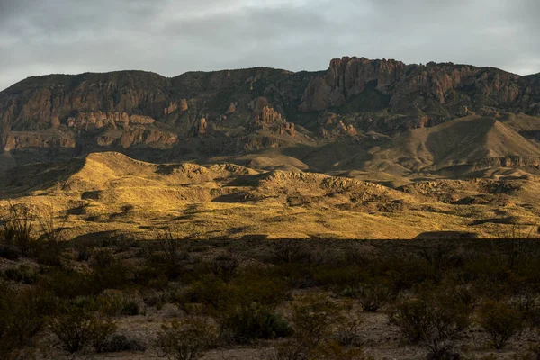 Golden Foothills Chisos Mountains Big Bend — Stock Photo, Image