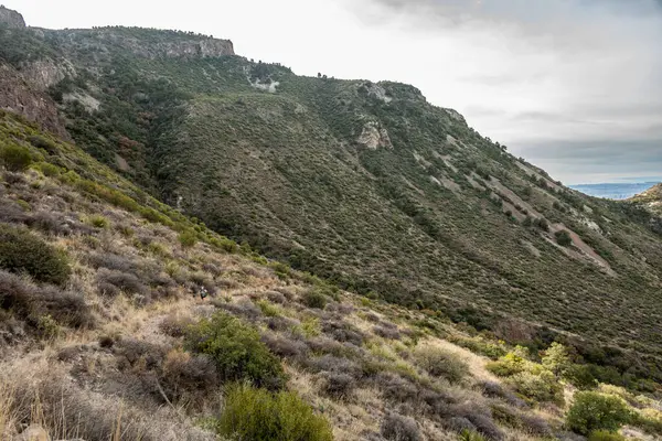 Hiker Teszi Hosszú Meredek Mászni Fel Blue Creek Ösvény Big — Stock Fotó