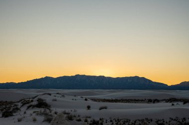 Çöl Bitkileri Beyaz Kumlar 'daki San Andres Dağları' nın altındaki kum tepeleri.