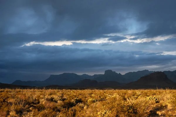 Chisos Mountains Prepare Rain Storm While Valley Warms Morning Light — Stock Photo, Image
