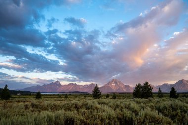 Grand Teton Ulusal Parkı 'ndaki Söğüt Düzlükleri' nde Gün Doğumu