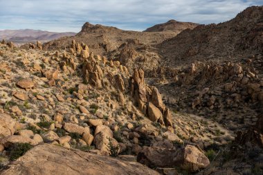 Big Bend Ulusal Parkı 'ndaki Asma Tepeler' in tepesinden Manzara