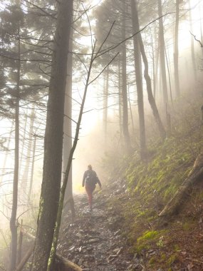 Smokies 'deki Appalachian Patikasında Kalın Sis Altında Yürüyen Kadın