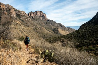 Büyük Viraj Milli Parkı 'ndaki Ardıç Kanyonu Patikası' na doğru.