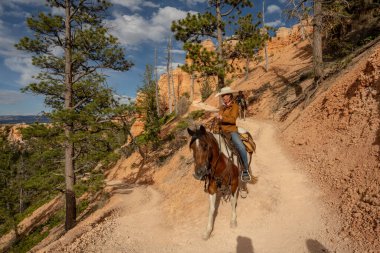 Bryce Canyon, United States: June 21, 2023: Horse And Rider Turn Switchback In Bryce Canyon clipart