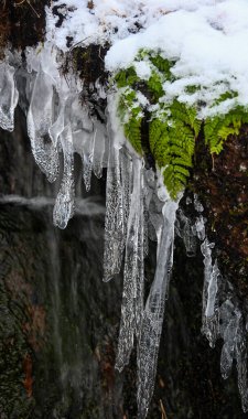 Dokulu Buz Sarkıtları Dumanlarda Karlı Kaya 'ya Yapışıyor
