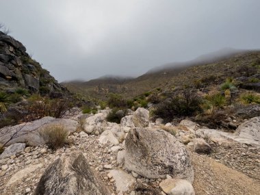 Uzak Büyük Viraj Ulusal Parkı 'ndaki Çatlaklar Yolu Kayalarla Dolduruldu
