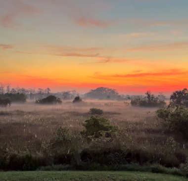 Şafak vakti Everglades 'in üzerinde Parlak Gün Doğumu ve Hafif Sis