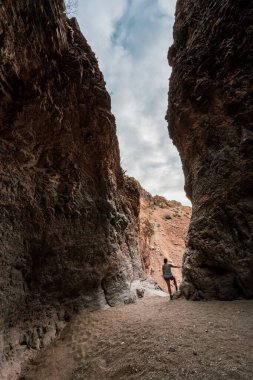 Yürüyüşçü, Big Bend Milli Parkı 'nda, üst katırın tepesinden dikilir ve bakar.