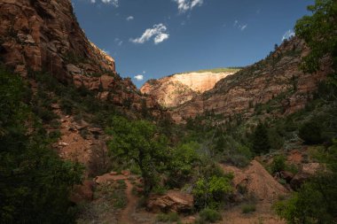 La Verkin Creek Yolu, Zion 'daki Kolob Kanyonu' nun Dağınık Vadisi 'nin Çevresinde Dönüyor