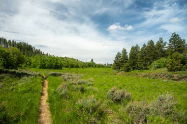 Zion Ulusal Parkı 'nın dağlık arazisindeki otlakların arasındaki dar patika.