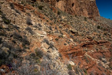Rock Fall Grand Canyon Ulusal Parkı 'ndaki Boucher Yolu' nu kaplıyor.