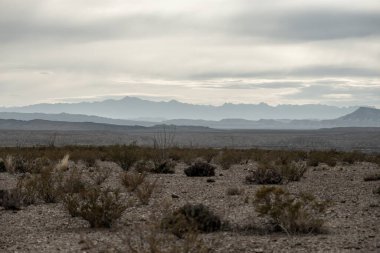 Big Bend Ulusal Parkı 'ndan güneye, Meksika' ya bakan dağların silueti