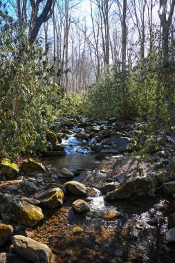 Kar Dondurması Kayalar ve Rododendron Gabes Dağları boyunca Smokies 'de