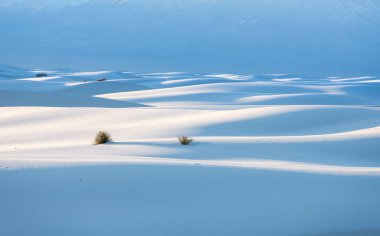 Beyaz kum tepeleri New Mexico 'daki dağlara doğru kayboluyor.