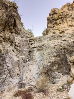 Big Bend 'deki Smoky Creek Yıkama Yolu' na Kuru Düşme