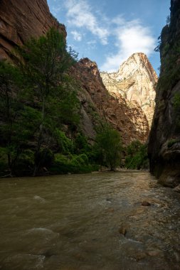 Zion 'daki Virgin Nehri' ndeki Dar Suyun Sonu