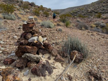 Yürüyüşçü, Big Bend Ulusal Parkı 'ndaki Telefon Kanyonu Patikası boyunca Büyük Carin' i geçti.