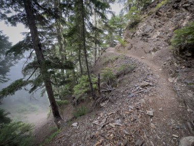 Yaz aylarında Olimpiyat Ulusal Parkı 'nın gevşek kayalıkları boyunca Hoh Nehri Trail Yılanları