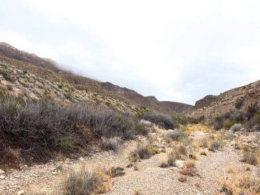 Büyük Viraj 'daki patikanın güney ucunda Strawhouse Trail başlıyor.