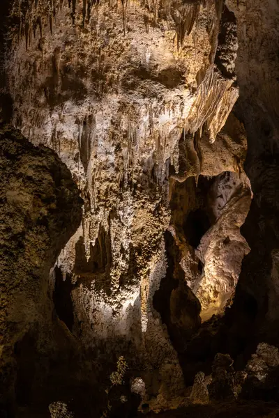 Carlsbad Mağaraları Ulusal Parkı 'ndan Stalactites Lit