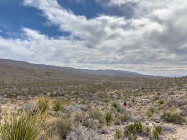Kadın kışın telefon kanyonu boyunca Büyük Viraj 'a doğru yürür.