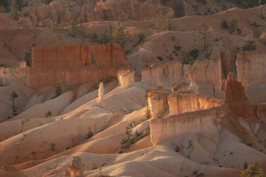 Bryce Kanyonu 'nda Serseriler Güneş Işığıyla Parlıyor