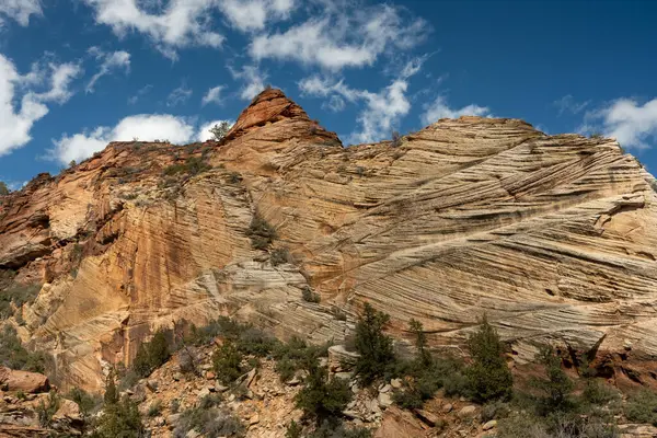 Zion Ulusal Parkı 'nda Mavi Gök' ün Altındaki Duvar Örtüsü