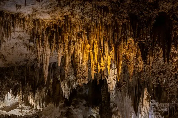 Altın Işıklar, Carlsbad Mağaraları Ulusal Parkı 'ndan sarkan Stalactite' leri Parlatıyor